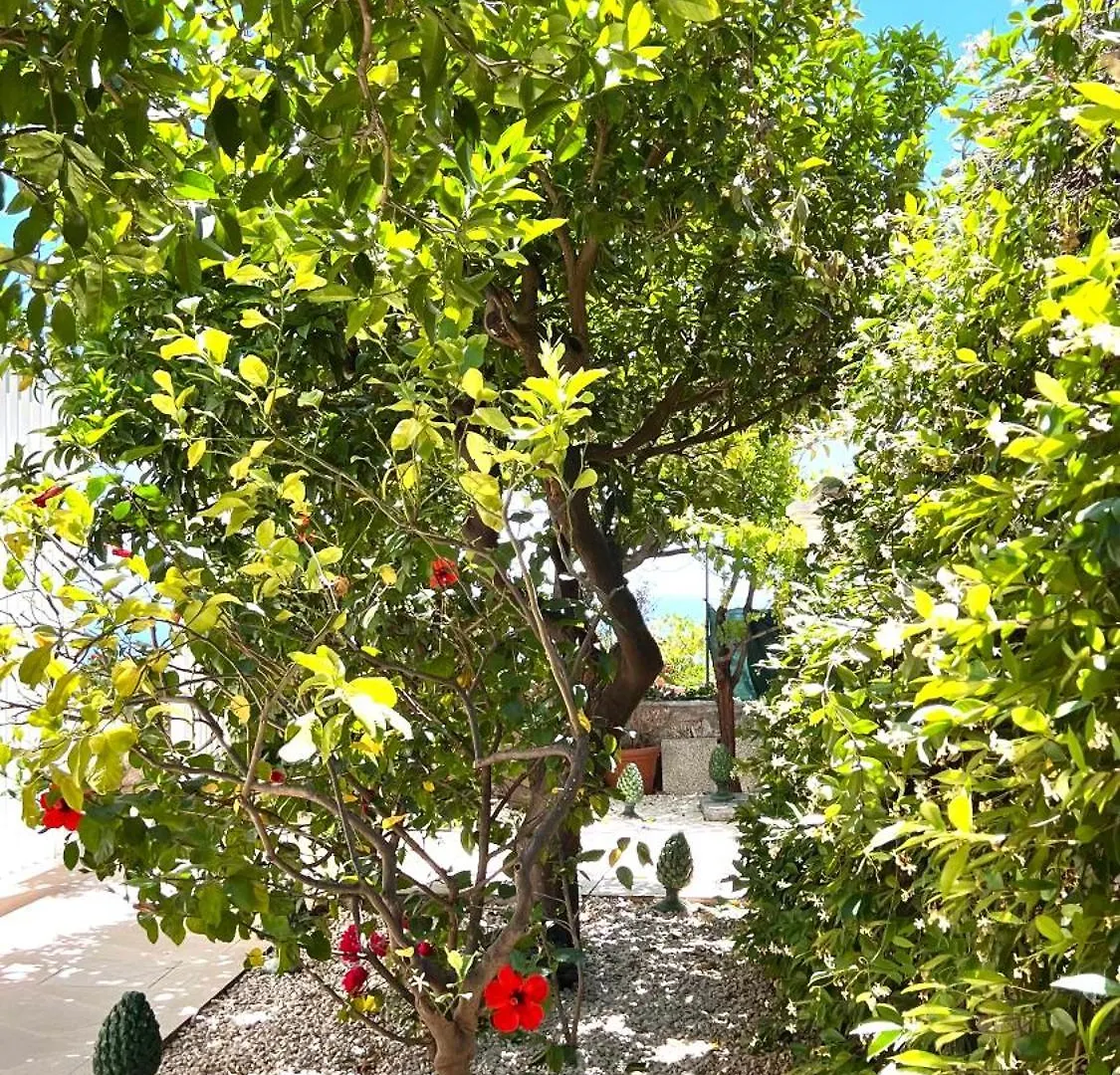 Villa Mediterranea, Taormina, Private Pool & Sea View
